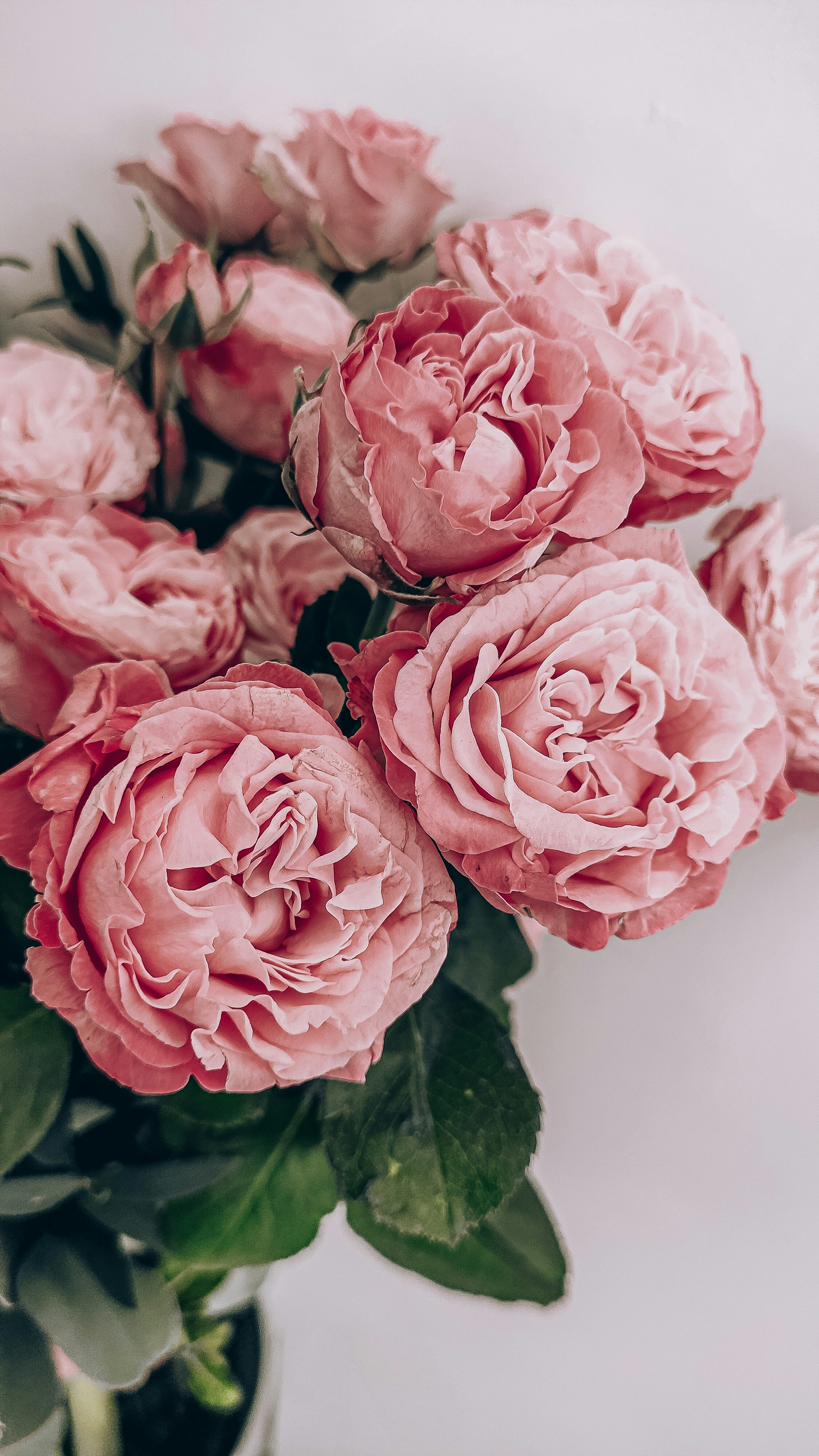 Festliche Floristik: zartrosa Rosen